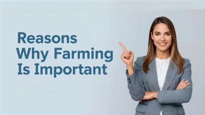 Reasons Why Farming Is Important