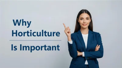 Why Horticulture Is Important