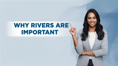 Why Rivers Are Important
