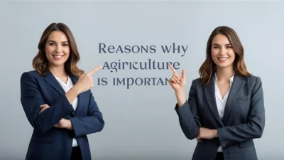 Reasons why agriculture is important
