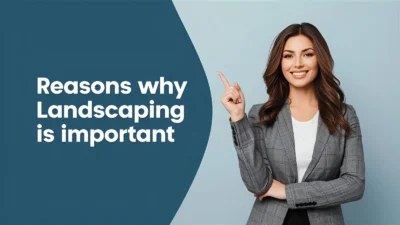 Why Landscaping Is Important