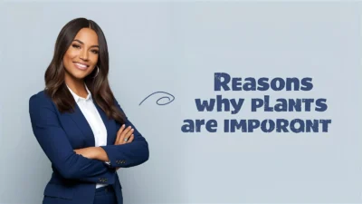 Reasons Why Plants Are Important