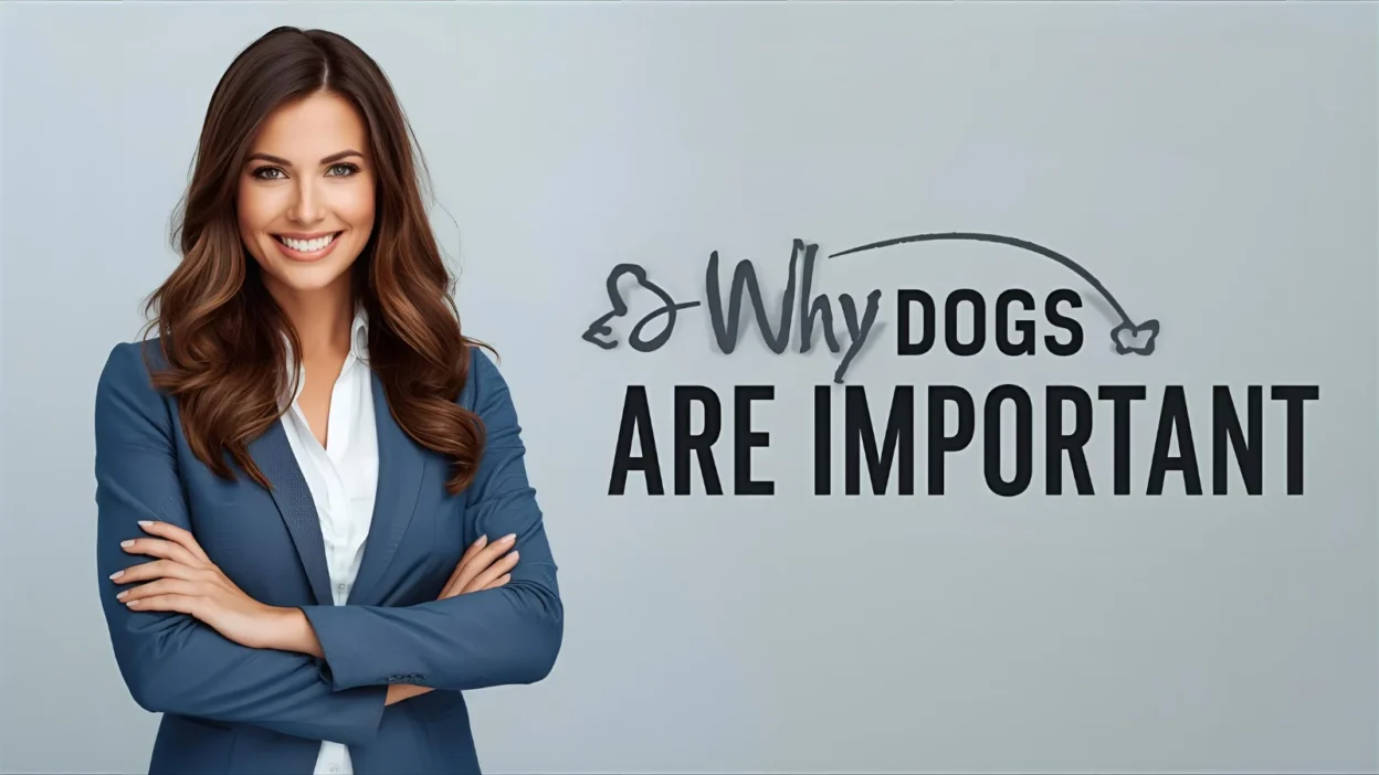 Why dogs are important
