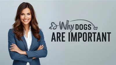 Why dogs are important
