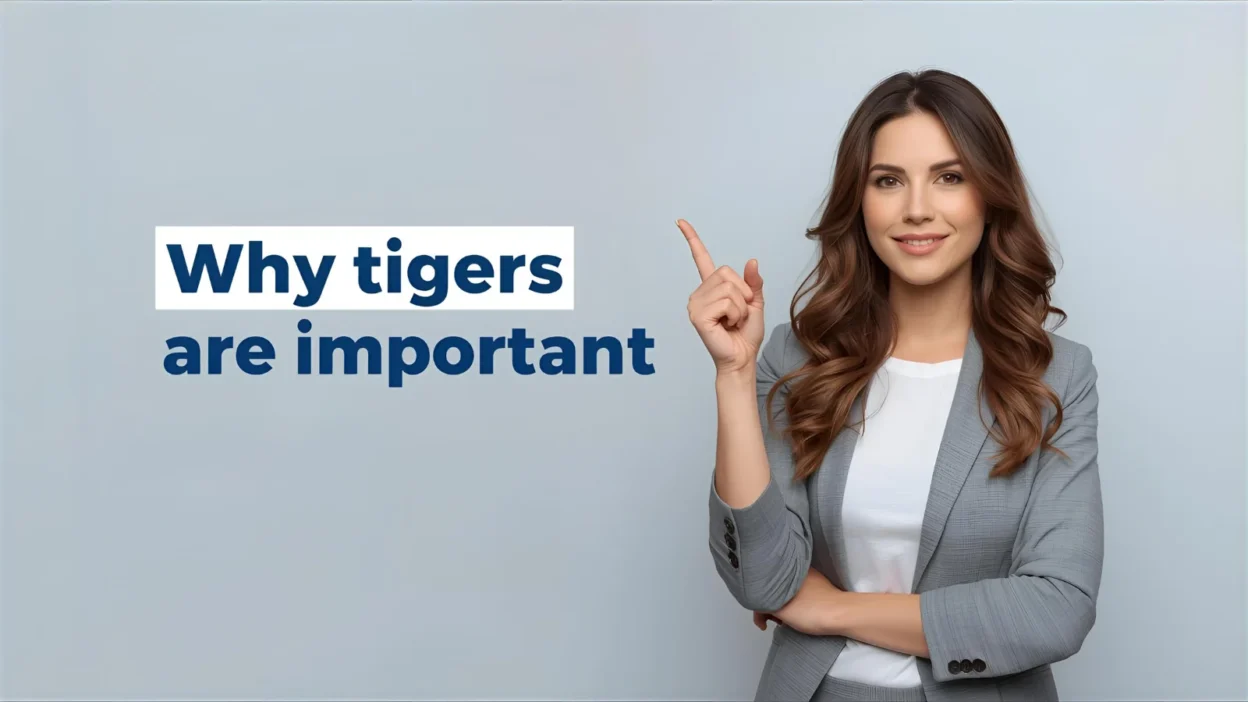 Reasons Why Tigers Are Important