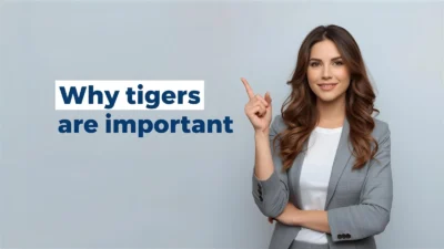 Reasons Why Tigers Are Important