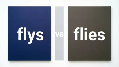 Flys vs Flies