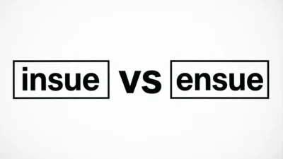 Insue vs Ensue