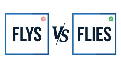flys vs flies